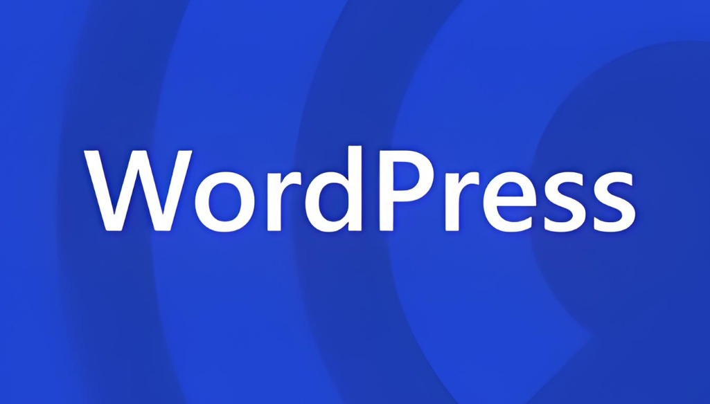 wordpress主题定制和个性化教程，记住7点是关键-第0张图片